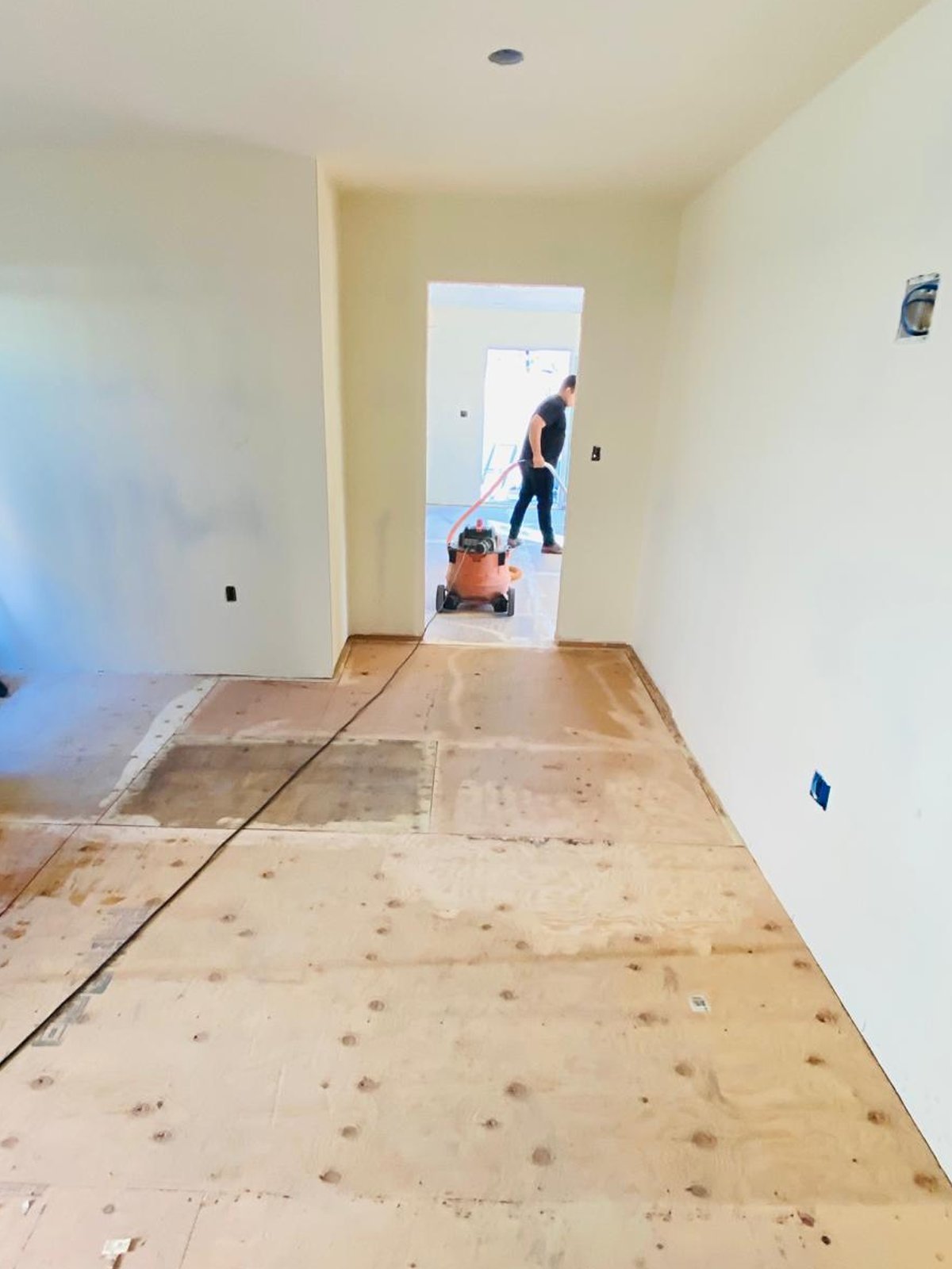 Acacia Wood Floors floor removal project — interior hallway stripped down to plywood subfloor, freshly painted drywall, and an Acacia team member using a professional dust-extraction sander visible through the doorway, ready for new flooring installation