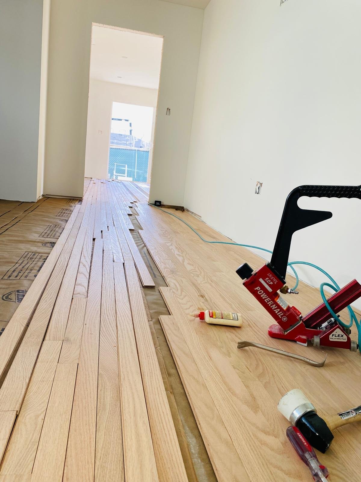 Acacia Wood Floors new floor installation in progress — fresh light-oak hardwood planks being nailed into a clean hallway subfloor with a professional Powernail 50P pneumatic floor nailer, glue bottle and mallet in frame, freshly painted walls, and natural light from the doorway
