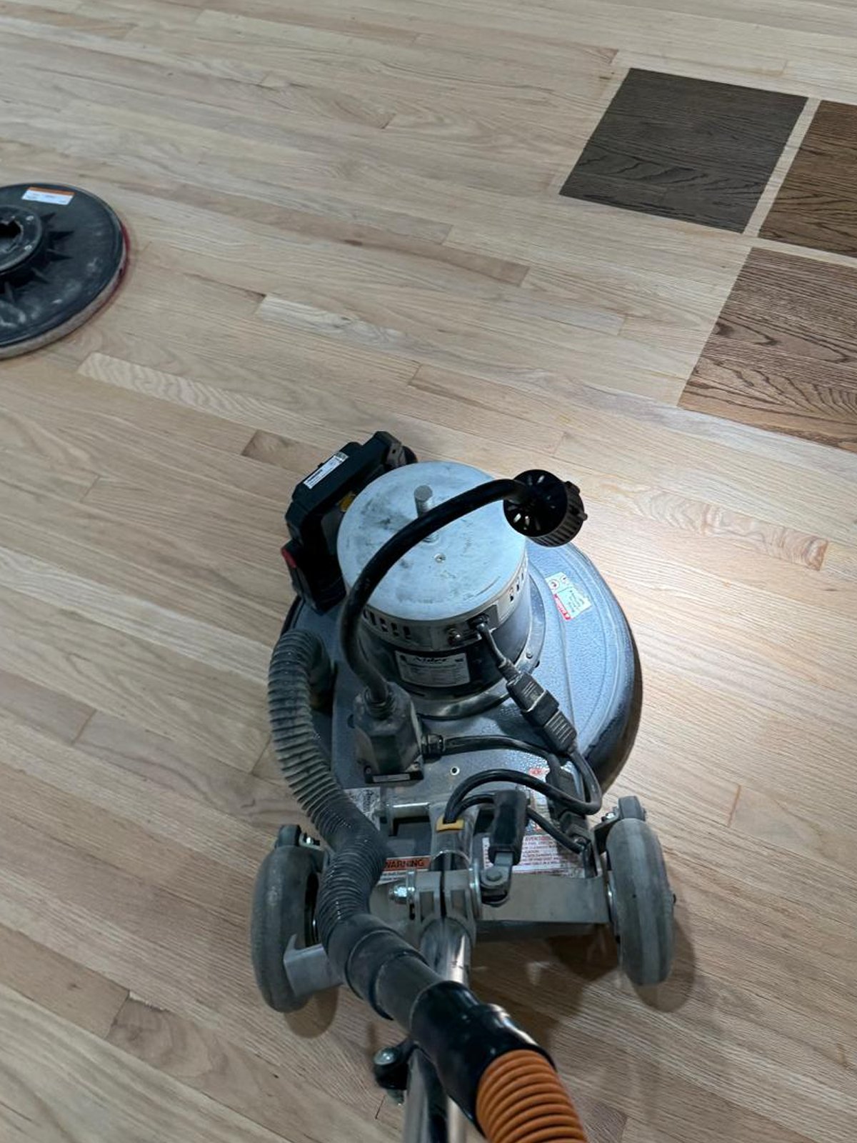 Acacia Wood Floors floor refinishing in progress — top-down view of a professional floor buffer / sander with dust-extraction hose on a freshly sanded light-oak hardwood floor, with three stain sample swatches (espresso, walnut, and natural oak) laid out on the floor to help the client pick their finish