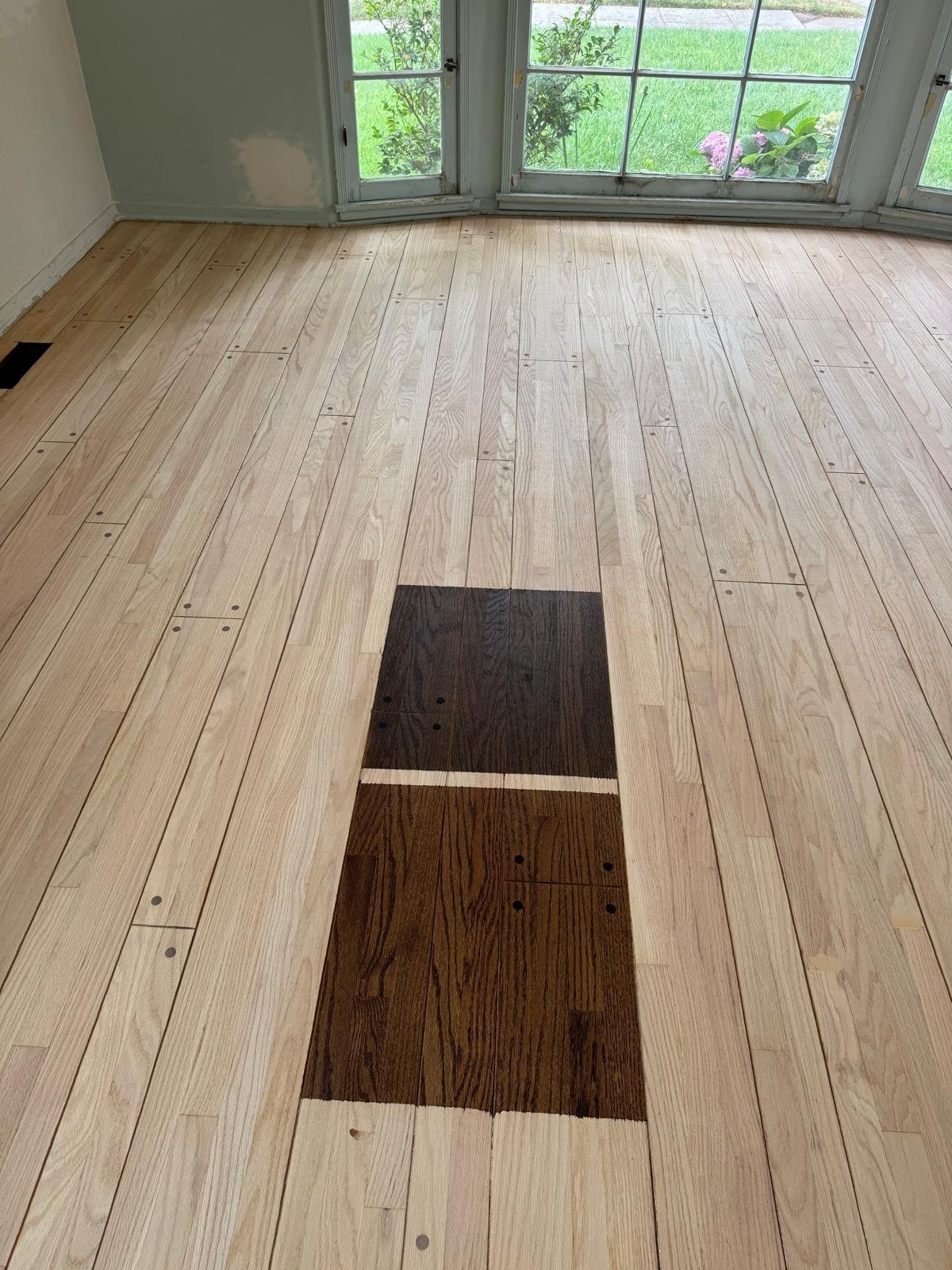 Acacia Wood Floors stain selection in progress — three test stain samples (espresso, walnut, and dark oak) laid directly onto a freshly sanded light natural oak floor, with the rest of the unfinished floor visible and natural light pouring in from a bay window looking out to a green garden
