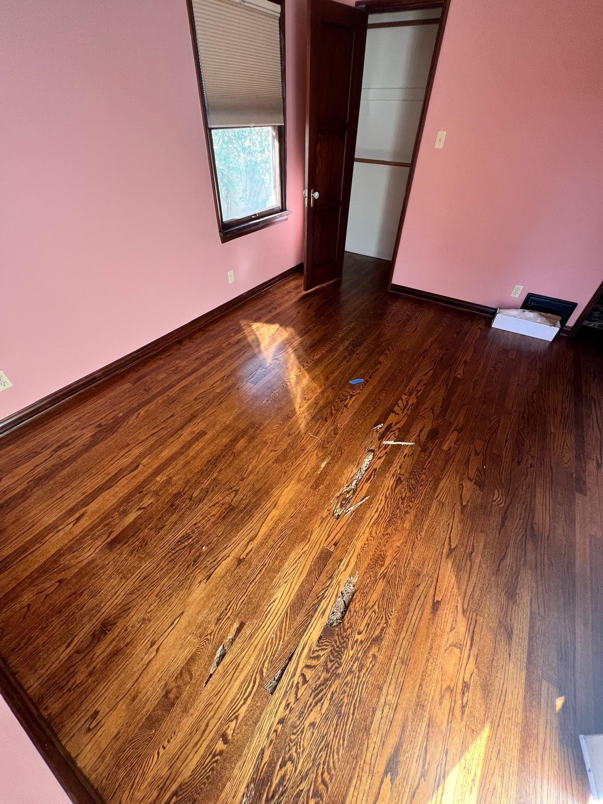 Acacia Wood Floors floor repair project — empty room with rich honey-oak hardwood flooring showing water damage and missing sections of planks ready to be replaced, pink walls, burgundy door, and natural light from a window with blinds